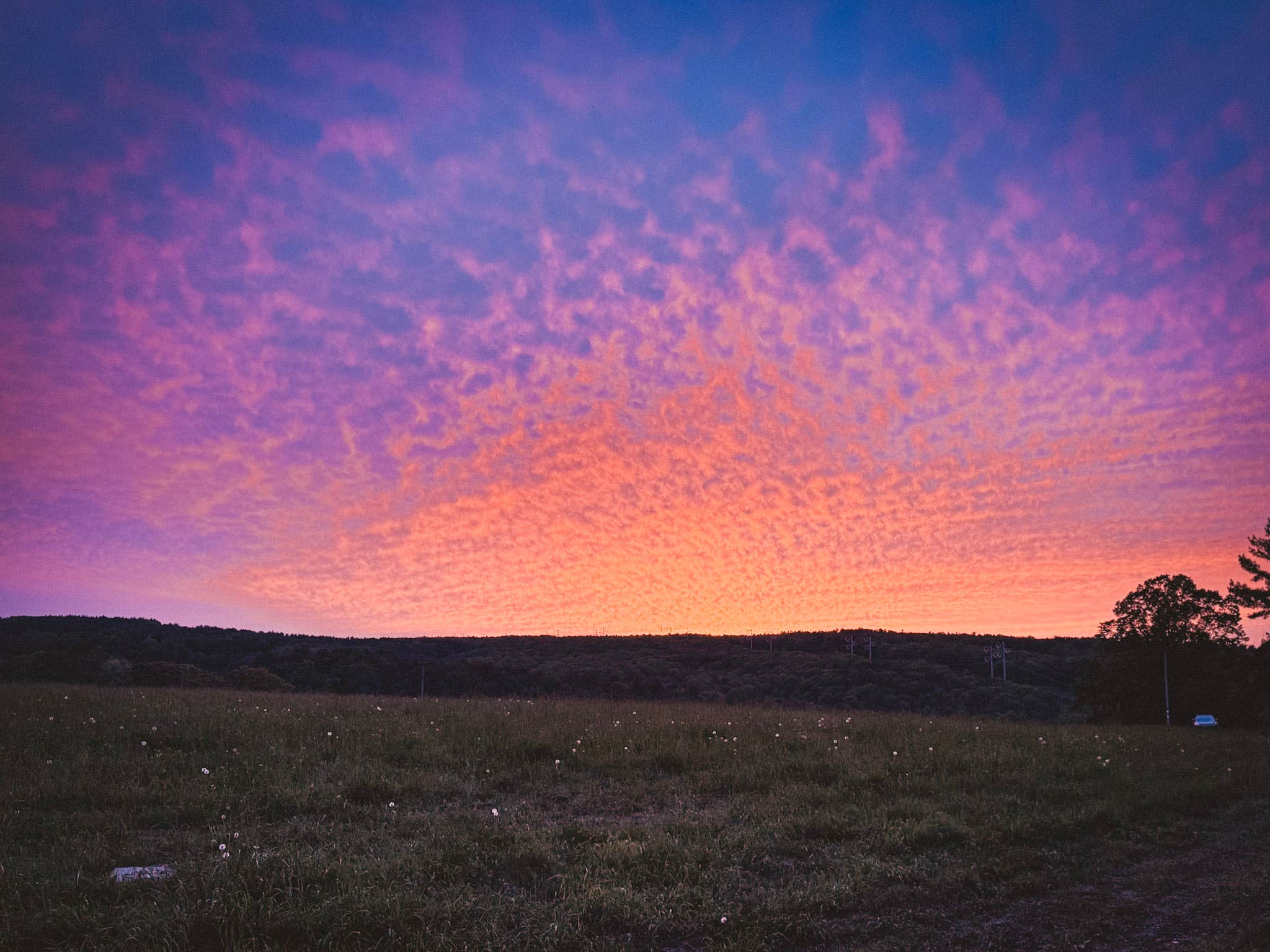 Camping near Arrowhead Marina & RV Park: Plotter Kill Camping, Rotterdam Junction, New York