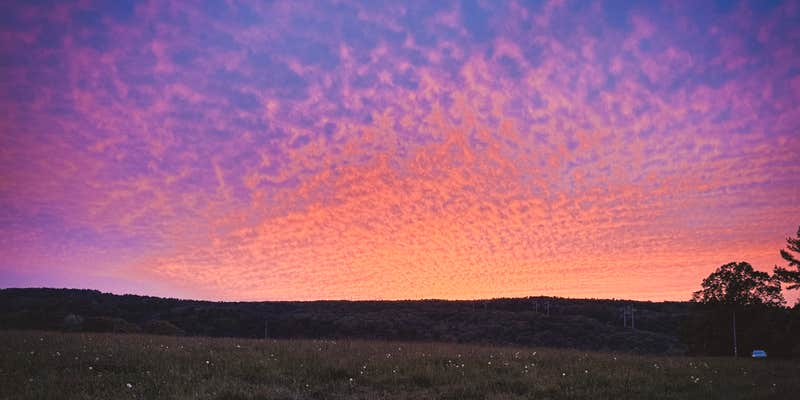 Camper submitted image from Plotter Kill Camping