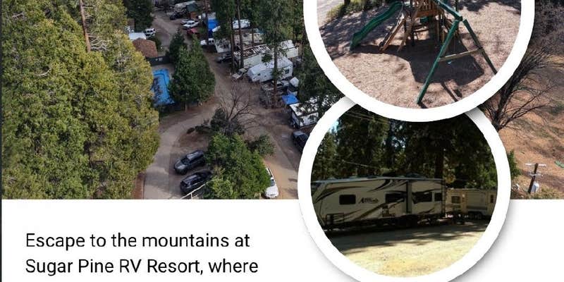 Camper submitted image from Sugar Pine RV Resort