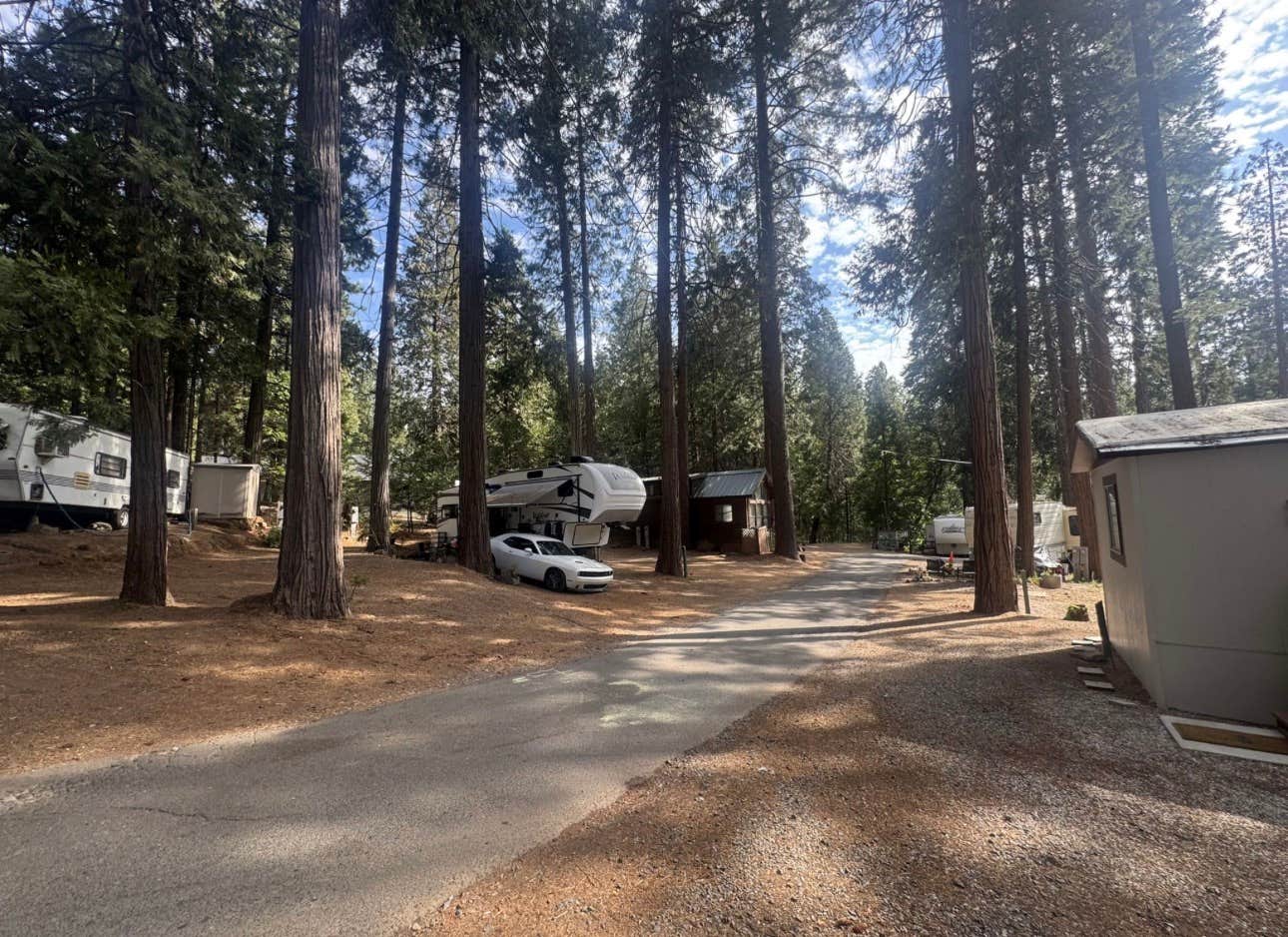 Camper-submitted photo at Sugar Pine RV Resort near Avery, CA
