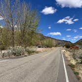 Review photo of Lone Juniper by Kathy B., April 16, 2026