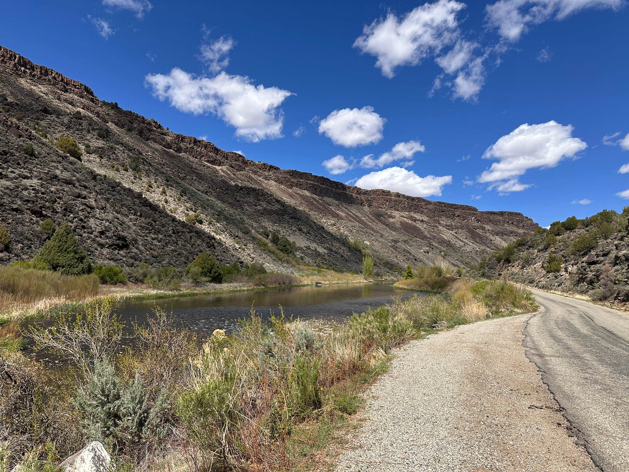 Camping near Rio Pueblo: Lone Juniper, Carson, New Mexico