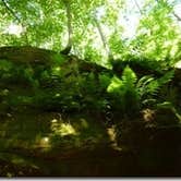 Review photo of Tipsaw Lake by Bran P., September 29, 2016