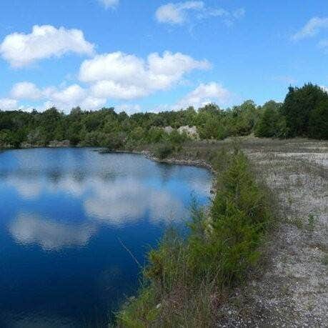 Camping near Bowman's Landing: Ichetucknee Yoga Club and Nature Retreat, Branford, Florida