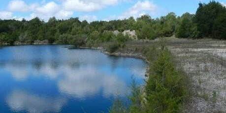 Camper submitted image from Ichetucknee Yoga Club and Nature Retreat