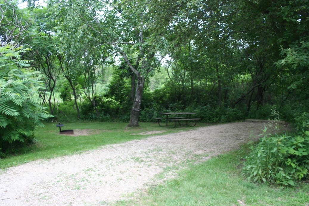 Camper submitted image from Great River Bluffs State Park Campground - 4