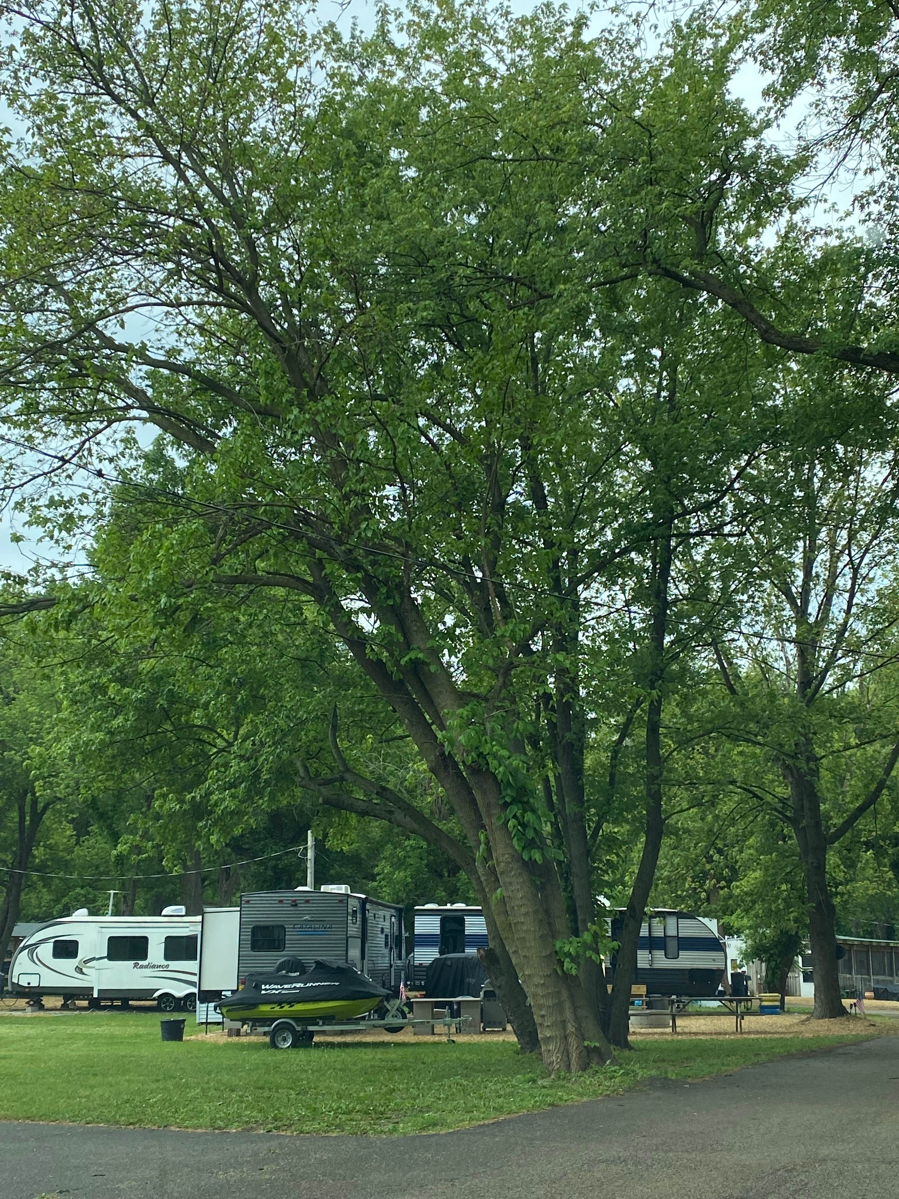 Camper-submitted photo at River Road Camping & Marina near Nachusa, IL