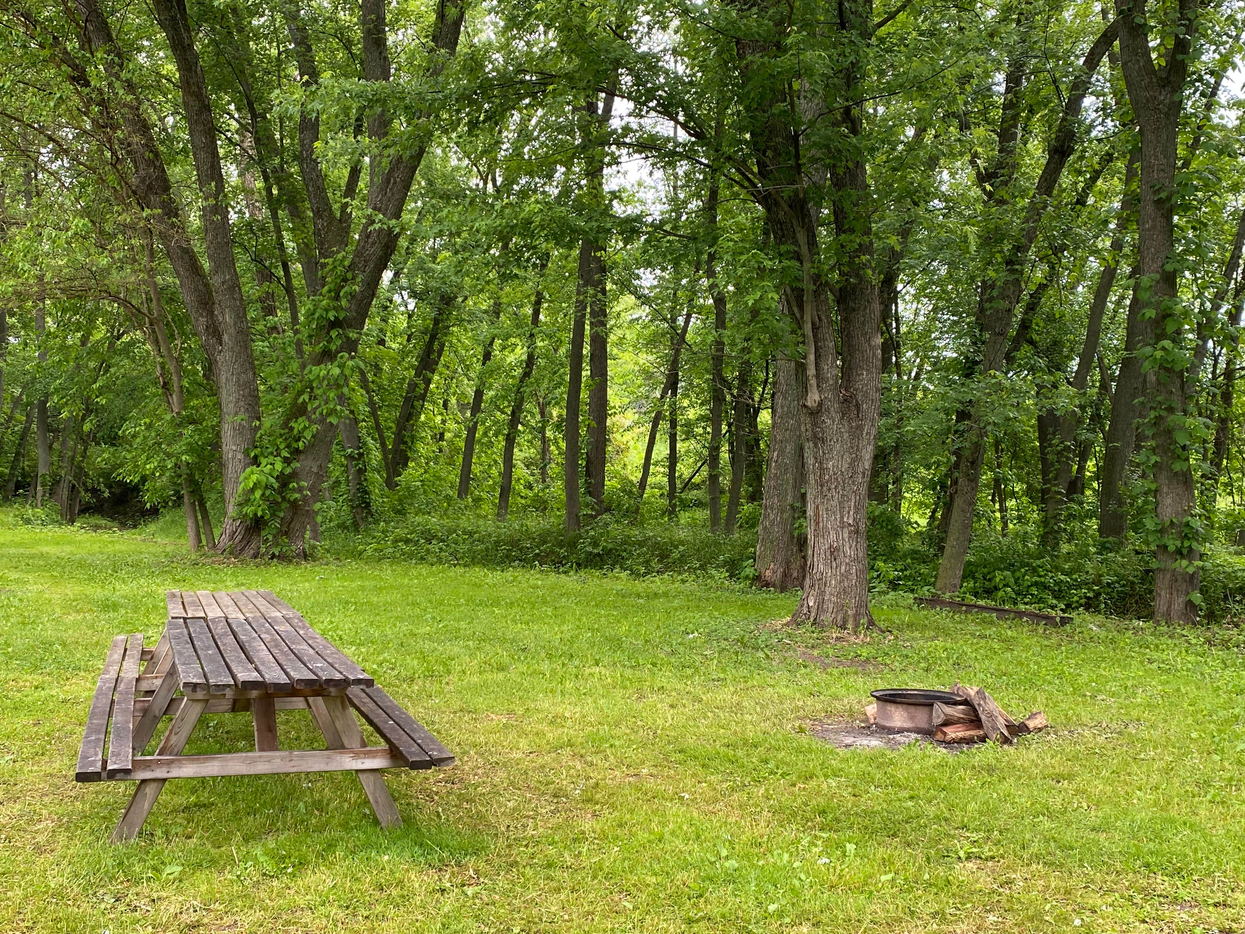 Camper-submitted photo at River Road Camping & Marina near Nachusa, IL