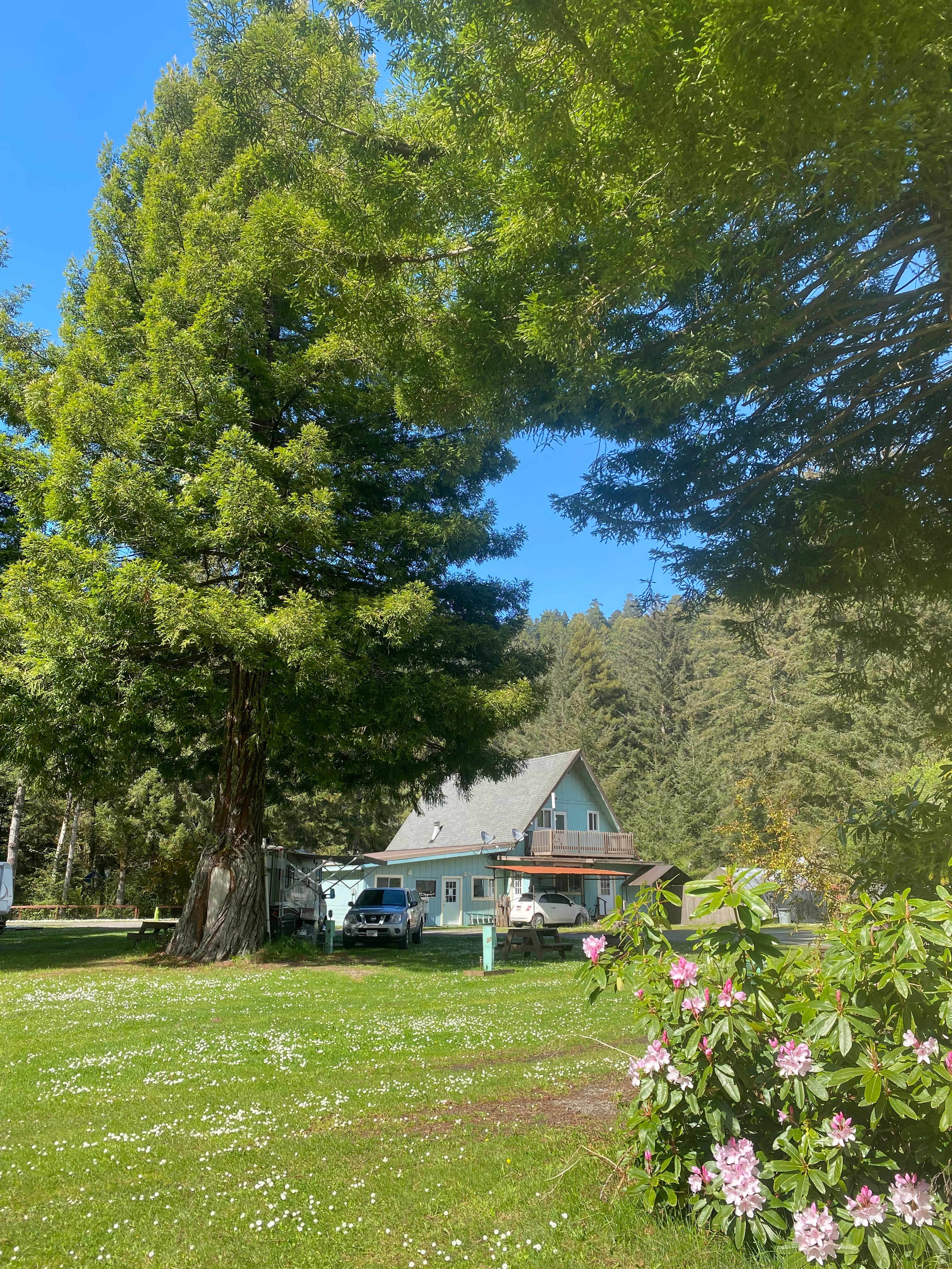 Camper-submitted photo at Mystic Forest Campground near Redwood National Park