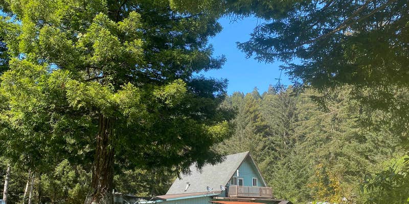 Camper submitted image from Mystic Forest Campground