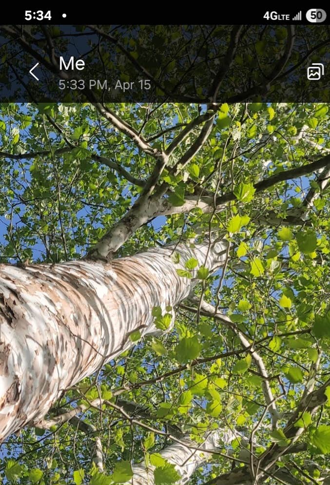 Camper-submitted photo at Indian Heritage RV Park near Chatham, VA