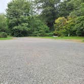 Review photo of Hard Rain Cafe & RV Park by Cheryl S., April 19, 2026