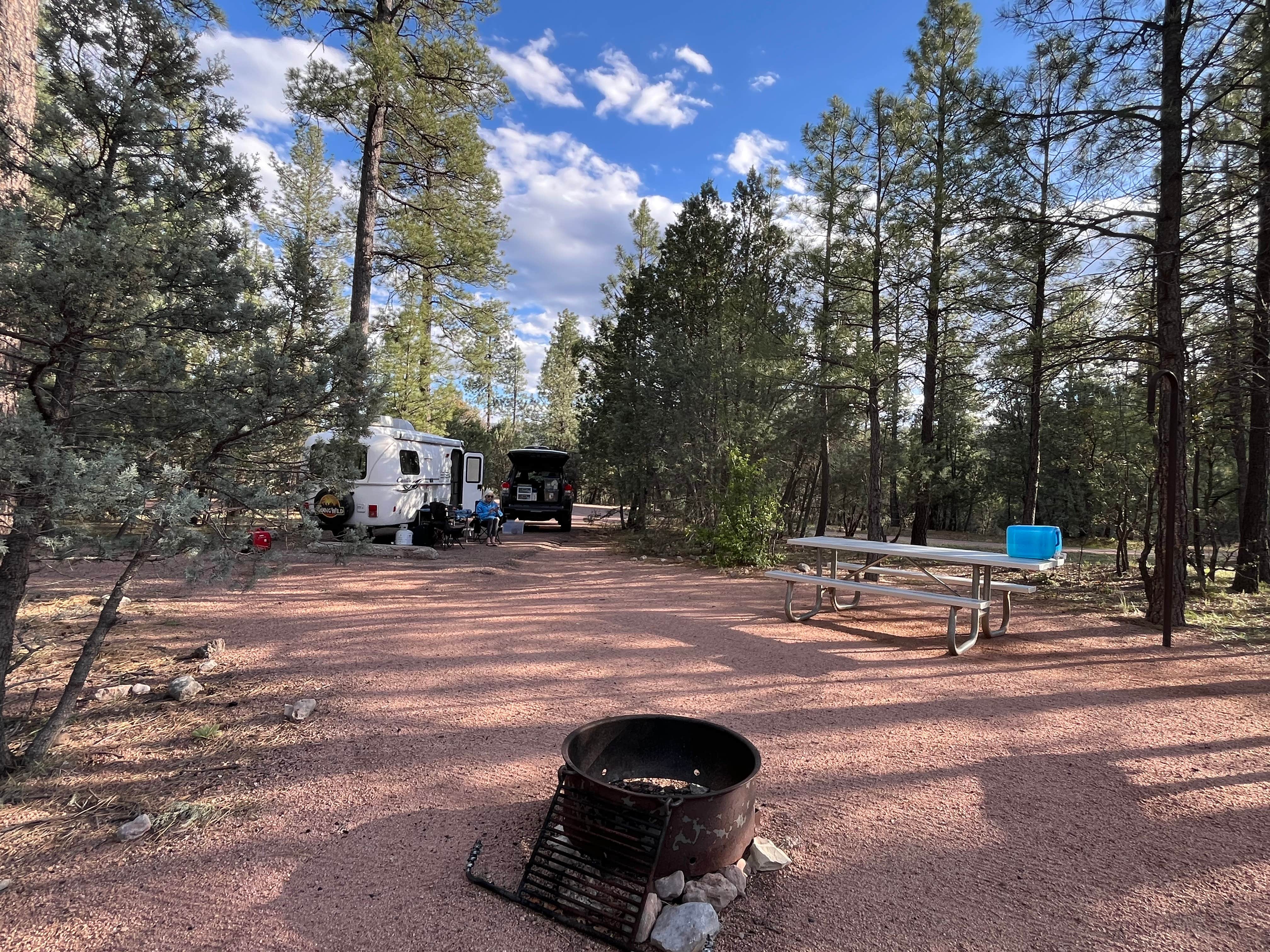Bill R.'s photo at Sharp Creek near Young, AZ