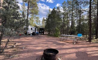 Bill R.'s photo at Sharp Creek near Young, AZ