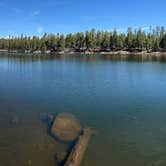 Review photo of Sharp Creek by Bill R., April 19, 2026