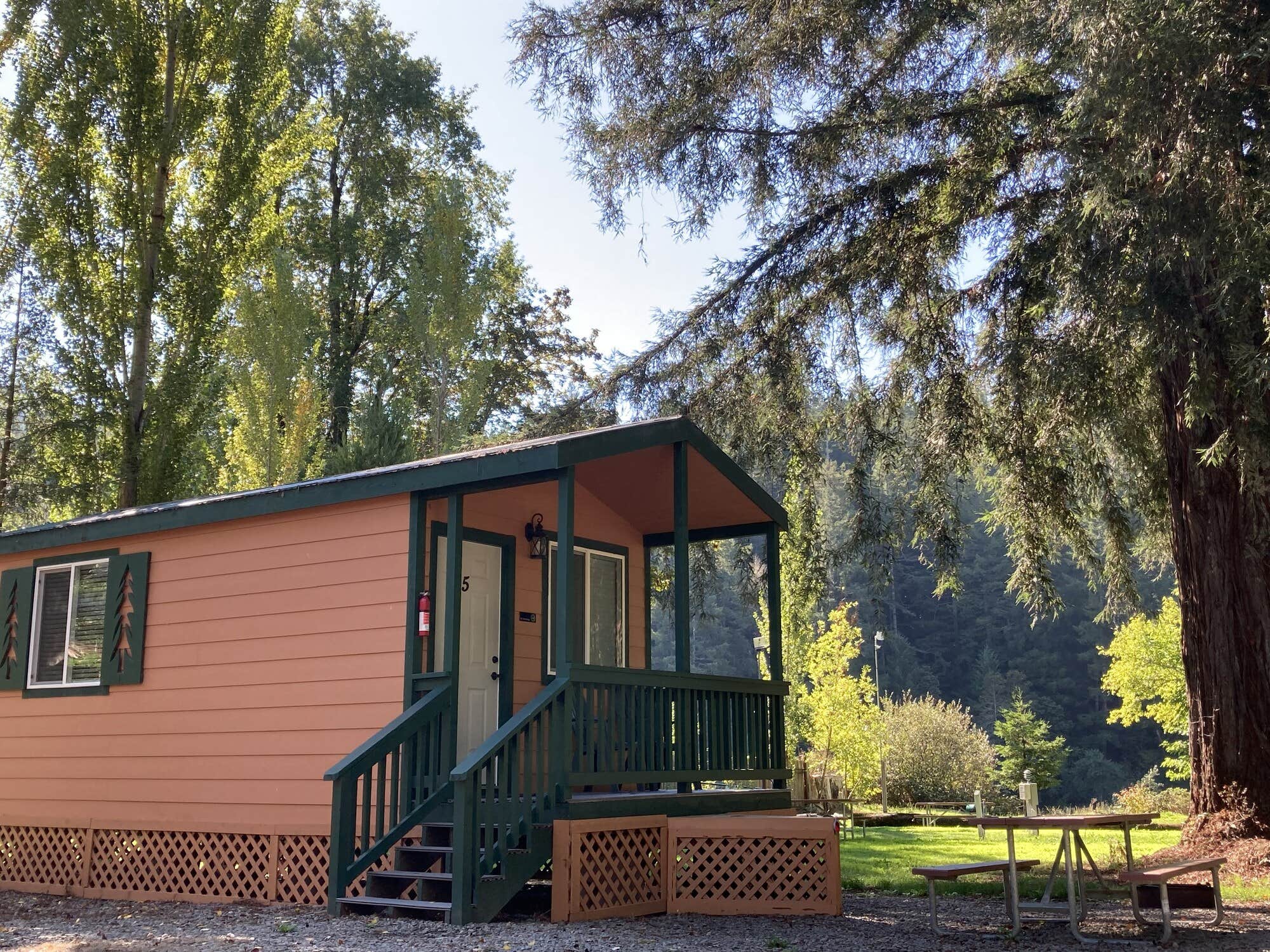 The Dyrt's photo of a cabin at Giant Redwoods RV & Cabin Destination near Myers Flat, CA