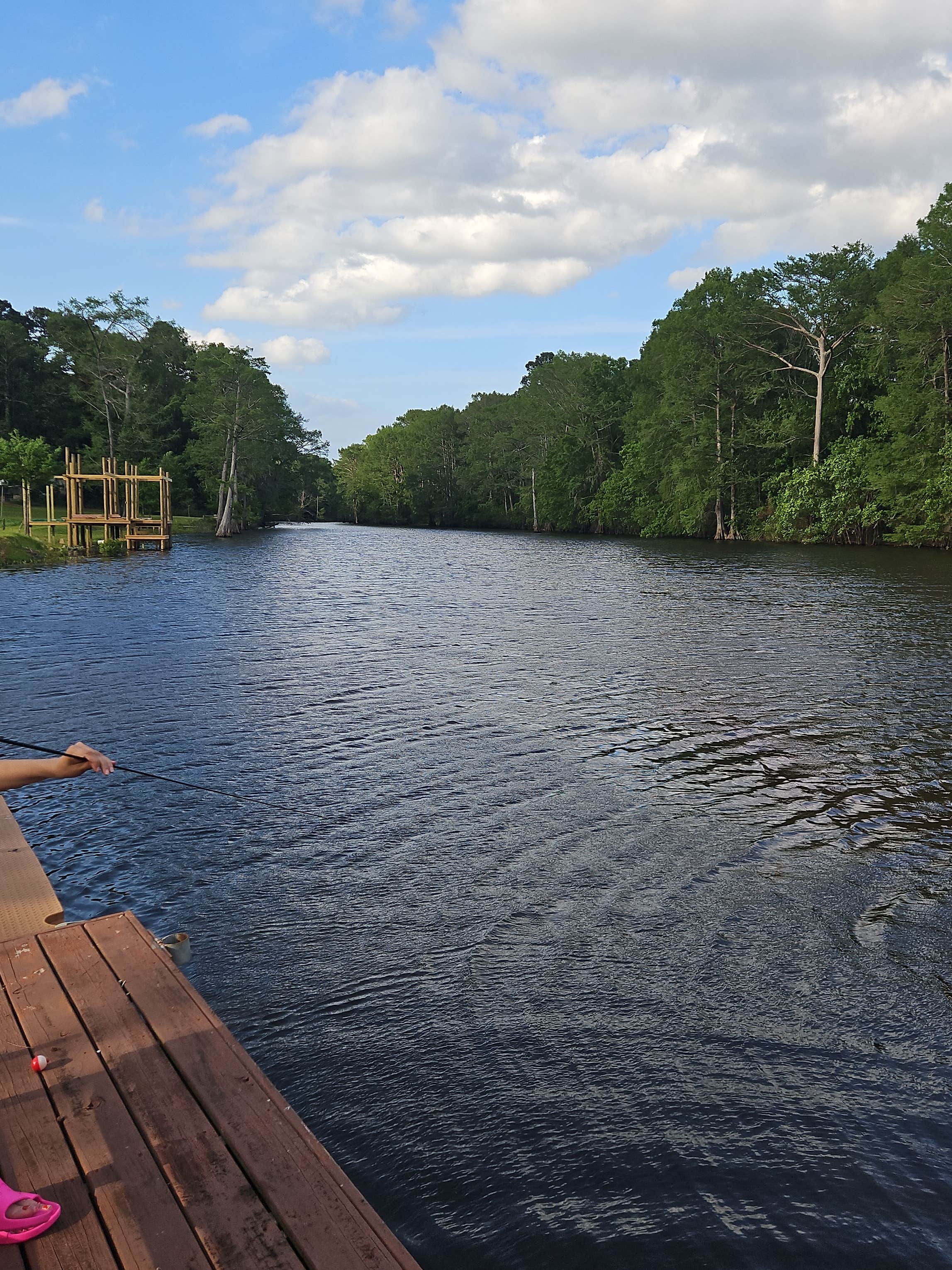 Camper-submitted photo at Bayou Bend Rv and Camping near Homer, LA