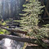 Review photo of Big Pine Dispersed Camping by Brad F., April 20, 2026