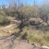 Review photo of Colossal Cave Mountain Park by Becky , April 20, 2026
