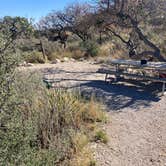 Review photo of Pine Springs Campground — Guadalupe Mountains National Park by Becky , April 20, 2026