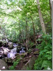 Camper submitted image from Tompkins - 3