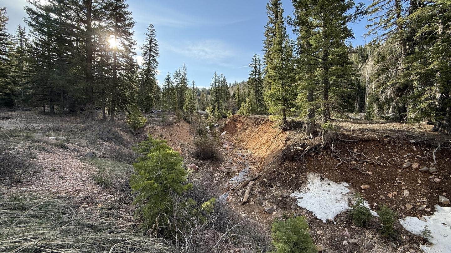 Camper-submitted photo at Cedar Canyon near Cedar City, UT