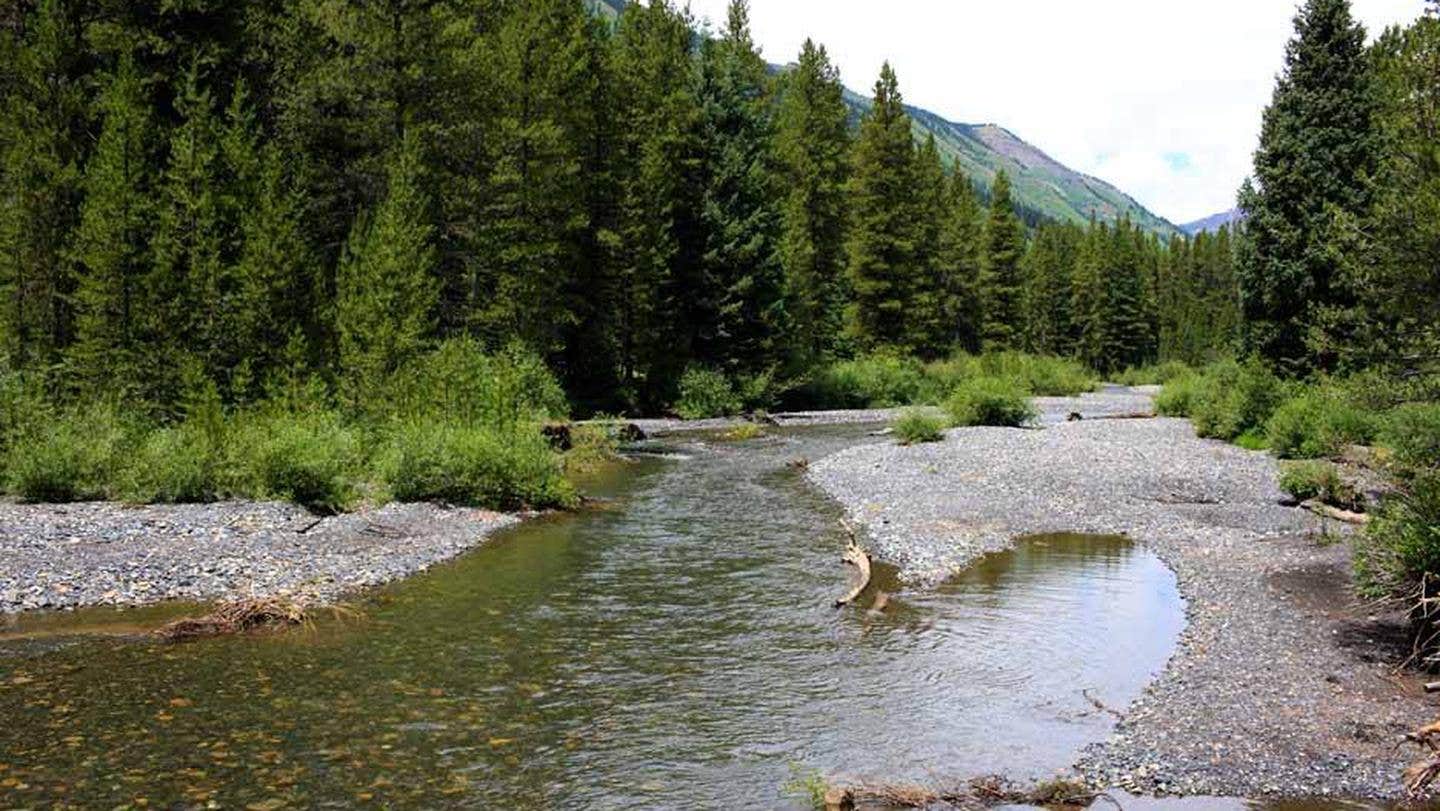 Camper-submitted photo at Oh Be Joyful Campground near Redstone, CO