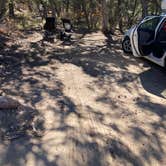 Review photo of Black Canyon Dispersed Camping by Becky , April 21, 2026