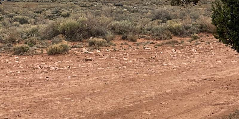 Camper submitted image from Camp Picacho at the Grand Canyon