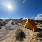 Review photo of Jumbo Rocks Campground — Joshua Tree National Park by Nicholas S., April 22, 2026