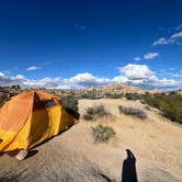 Review photo of Jumbo Rocks Campground — Joshua Tree National Park by Nicholas S., April 22, 2026