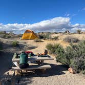 Review photo of Jumbo Rocks Campground — Joshua Tree National Park by Nicholas S., April 22, 2026
