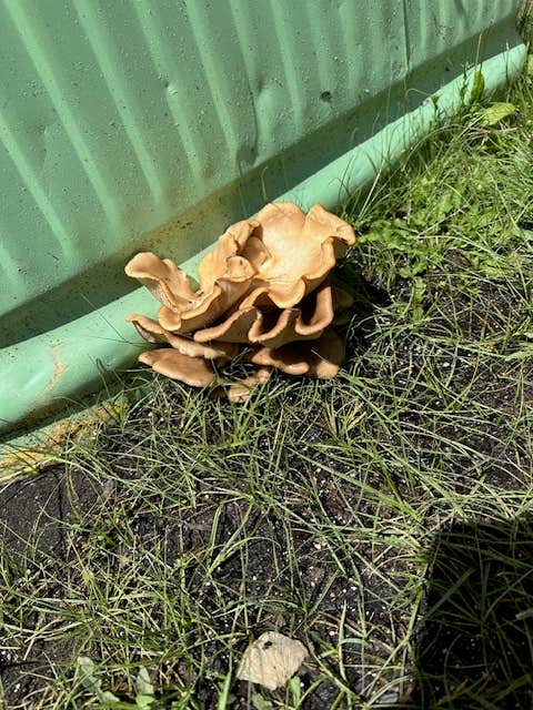 Camper-submitted photo at Twin Rivers Cabins and RV Park near Antonito, CO