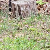 Review photo of B Berry Farms & Co. by Eric K., April 22, 2026