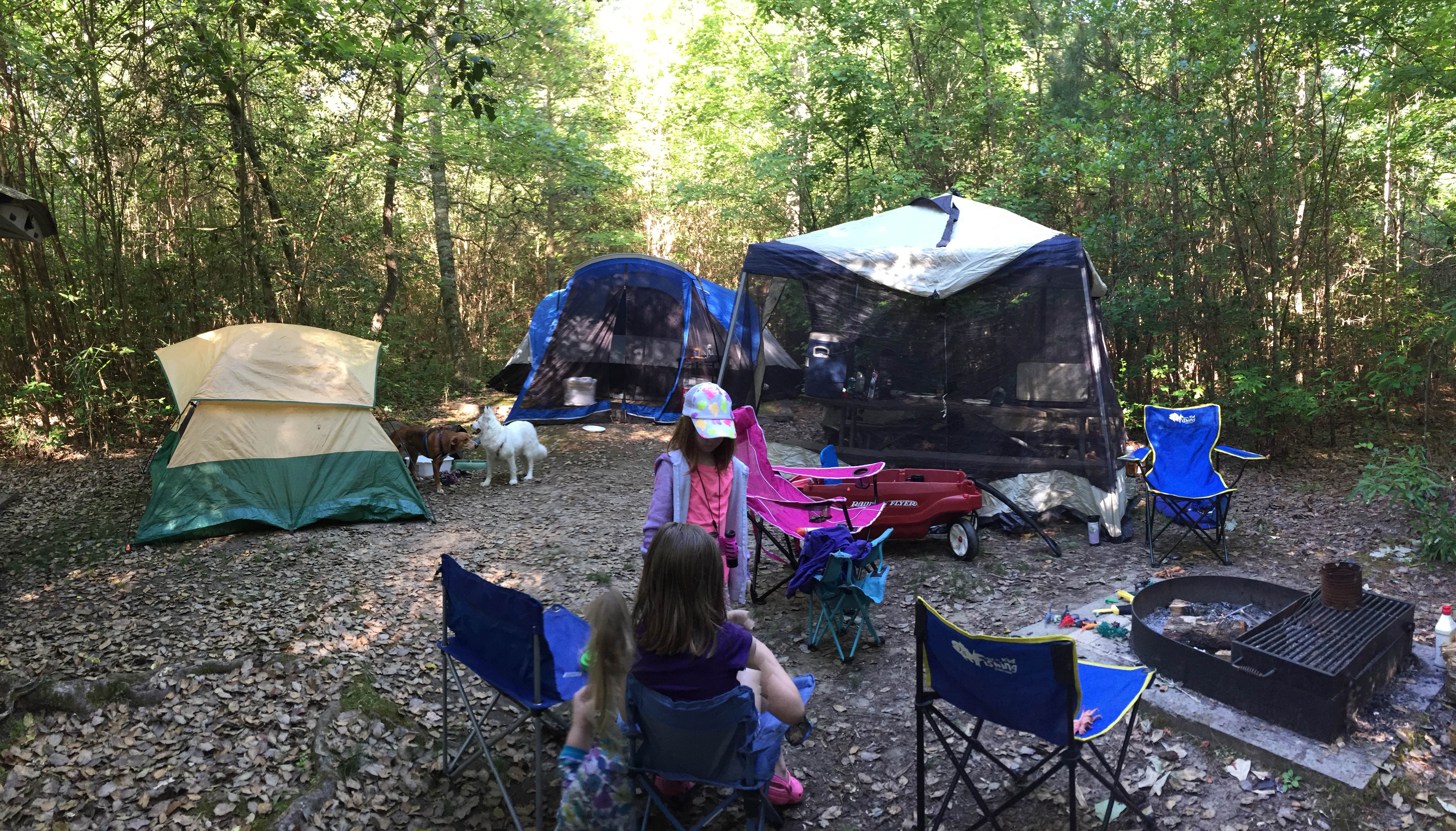 Camper-submitted photo at Family Campground — Merchants Millpond State Park near Creswell, NC