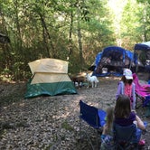 Review photo of Merchants Millpond State Park Campground by Alisa K., June 10, 2016
