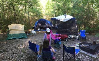 Alisa K.'s photo at Family Campground — Merchants Millpond State Park near Gatesville, NC