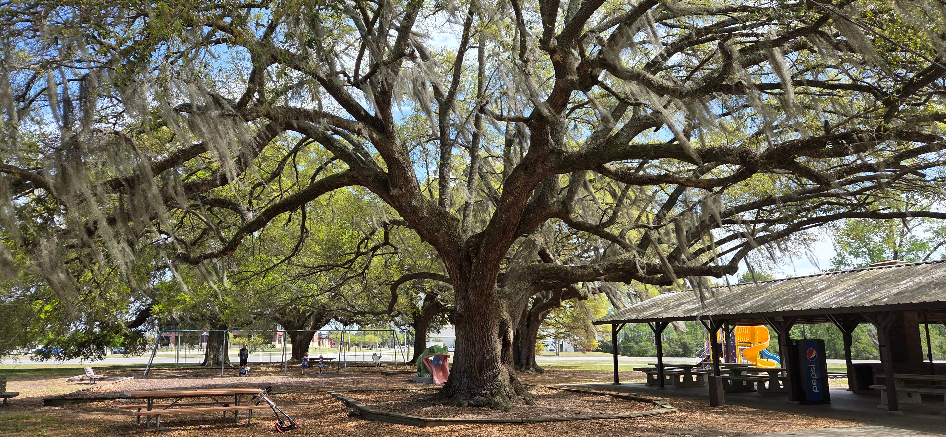 Camper-submitted photo at FamCamp Joint Base Charleston S.C near Goose Creek, SC