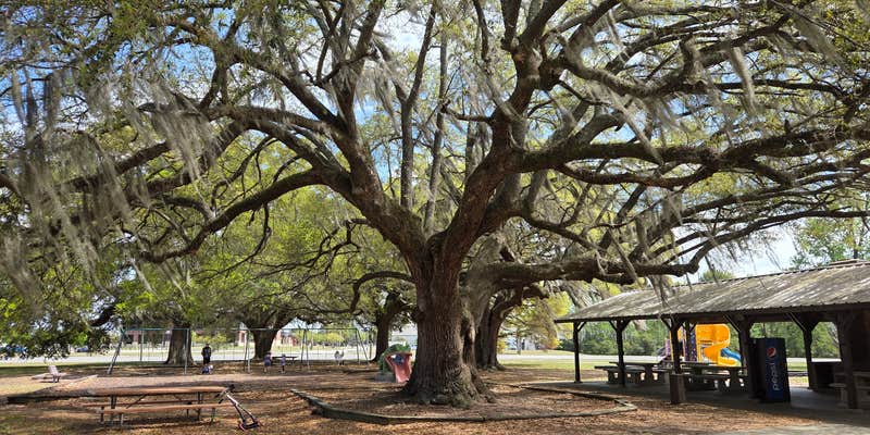 Camper submitted image from FamCamp Joint Base Charleston S.C