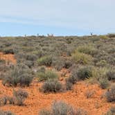 Review photo of Horseshoe Canyon by Rob S., April 26, 2026