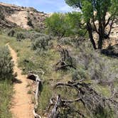 Review photo of Butler Wash Dispersed - Bears Ears by Rob S., April 26, 2026