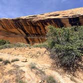 Review photo of Butler Wash Dispersed - Bears Ears by Rob S., April 26, 2026