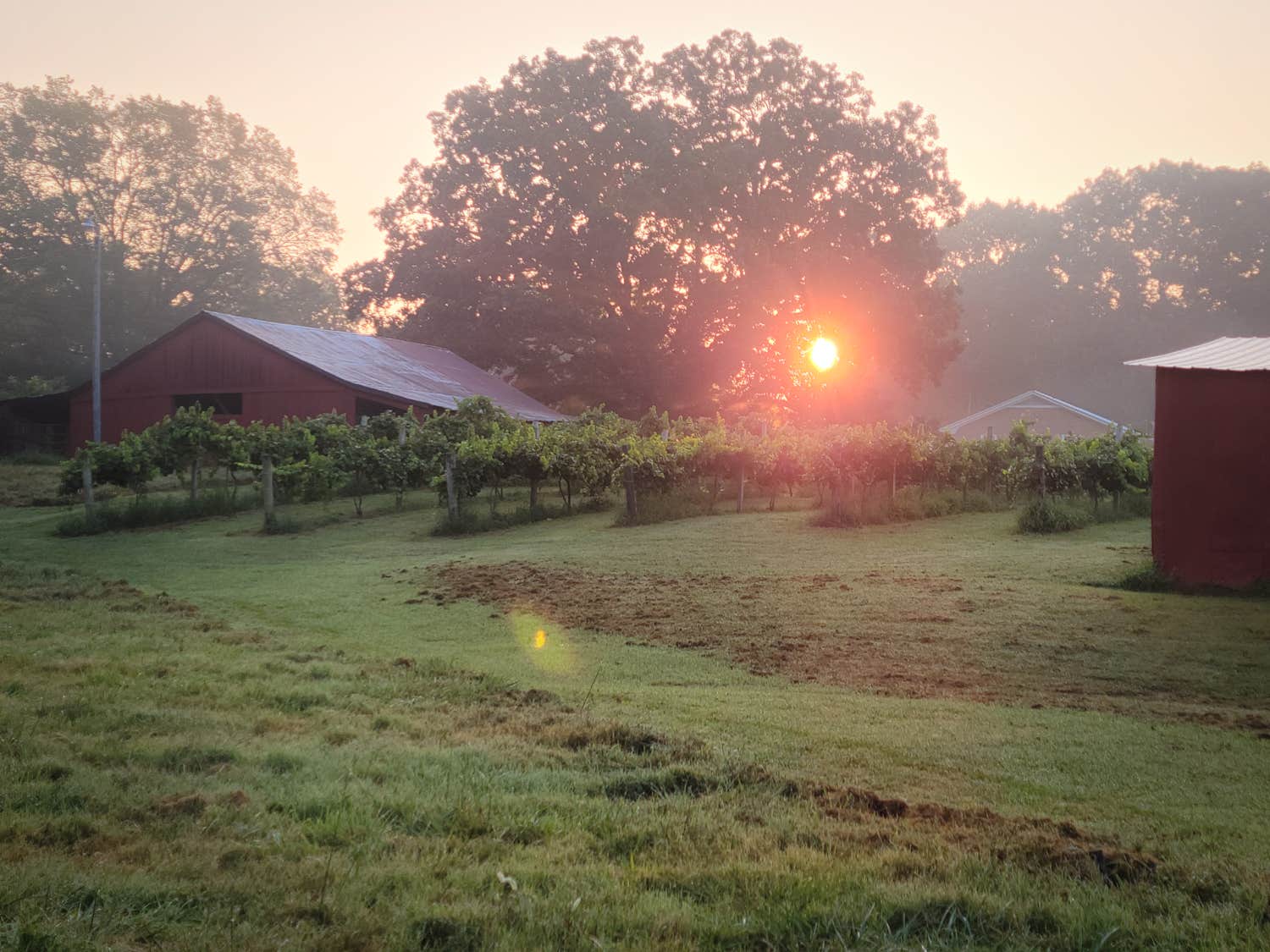 Camper-submitted photo at Stillwaters Farm Rustic Campsites near Pinson, TN
