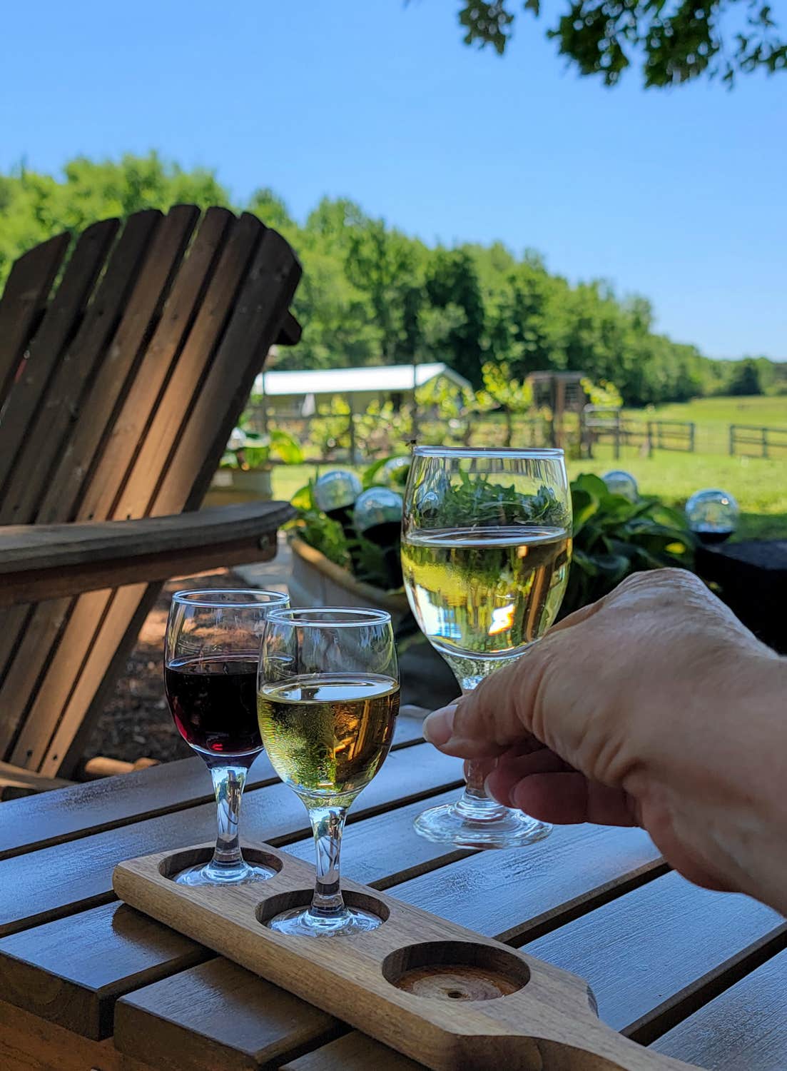 Camper-submitted photo at Stillwaters Farm Rustic Campsites near Pinson, TN