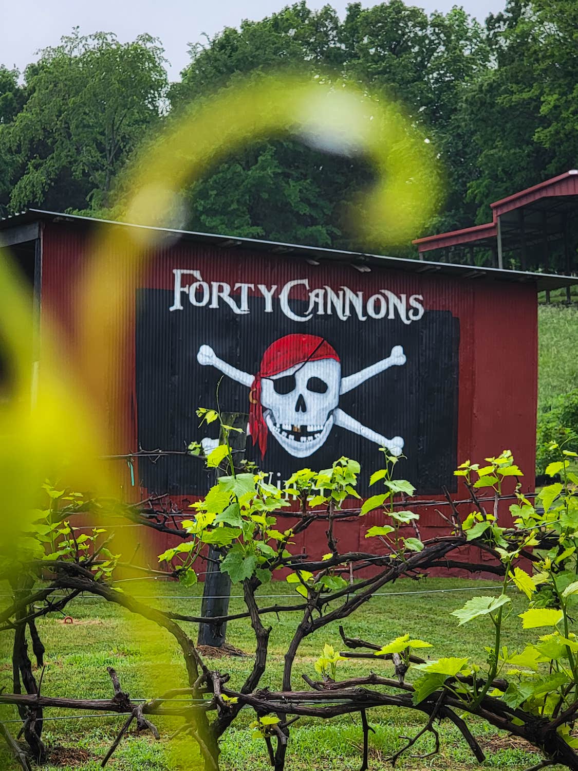 Camper-submitted photo at Stillwaters Farm Rustic Campsites near Pinson, TN