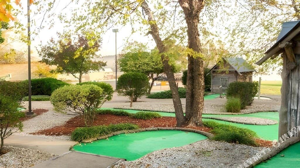 Camper-submitted photo at La Belle Vie near Irondale, MO