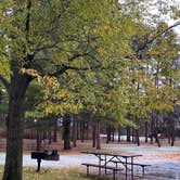 Review photo of Kohler-Andrae State Park by Maria Mercedes M., April 30, 2026