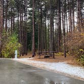 Review photo of Kohler-Andrae State Park by Maria Mercedes M., April 30, 2026