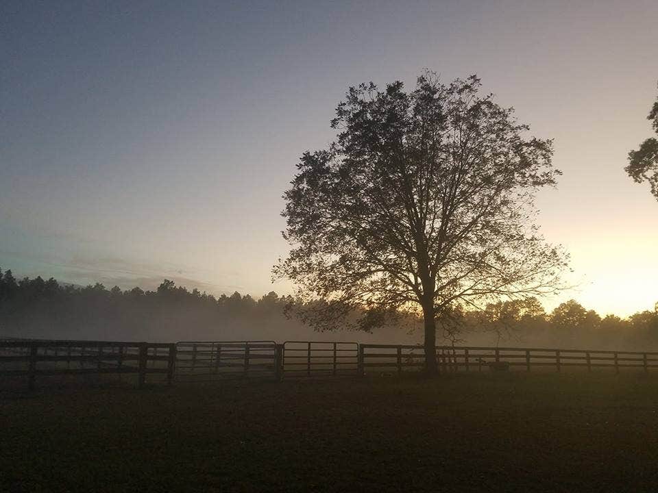 Camper-submitted photo at Whistling H Farms near Southern Pines, NC