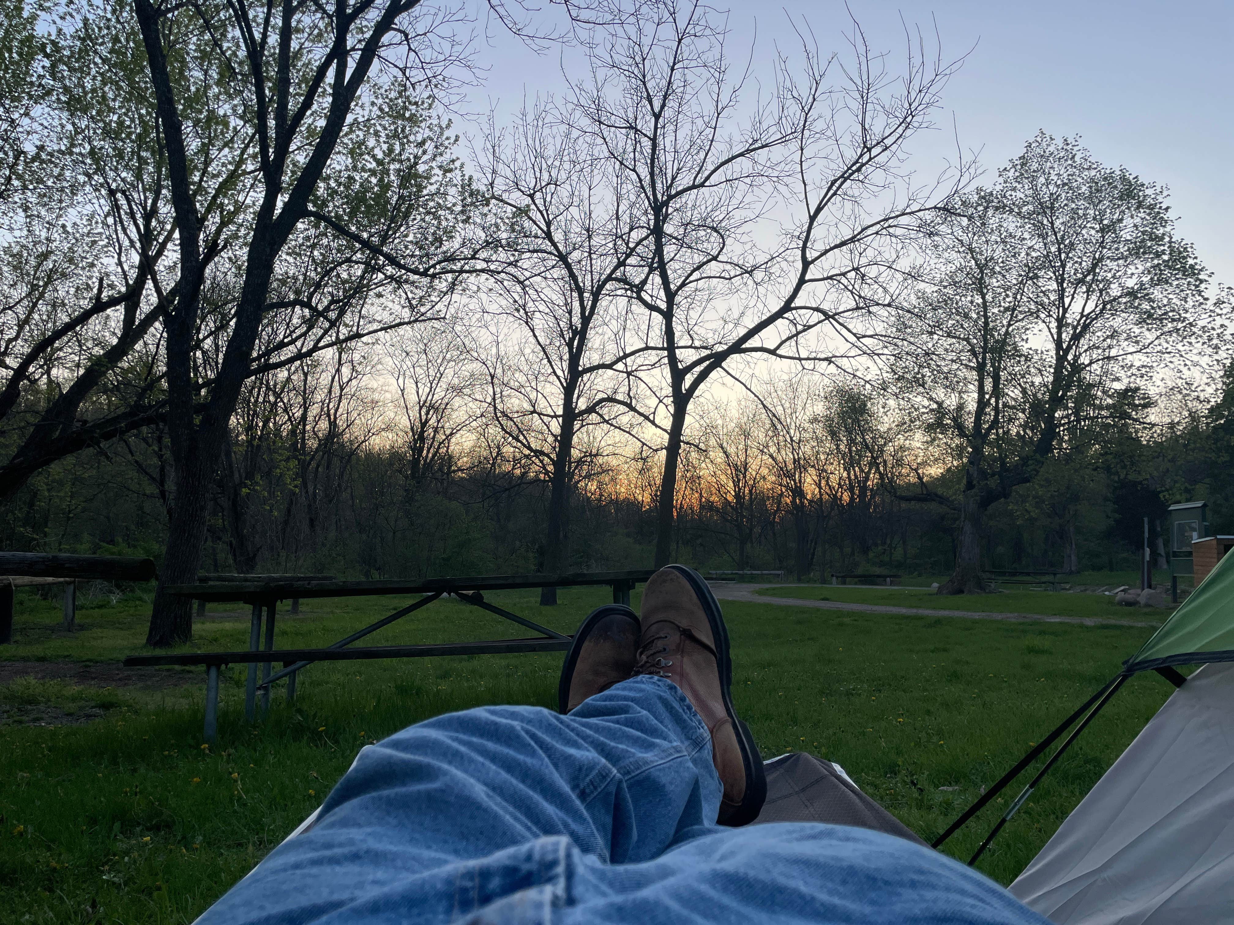 Camper-submitted photo at Grammer Grove Wildlife Area near Boone, IA